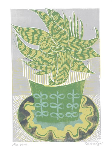 Aloe Vera - Zoe Badger