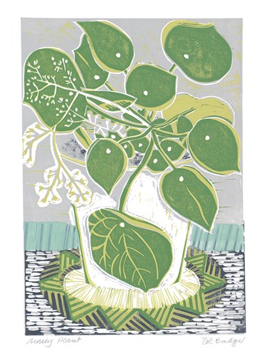 Money Plant - Zoe Badger
