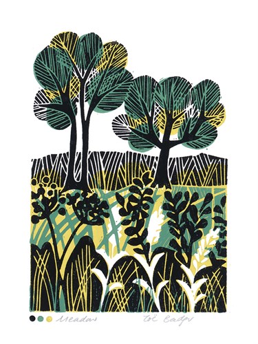 Meadow - Zoe Badger