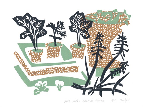 Pots with Cosmos Leaves - Zoe Badger