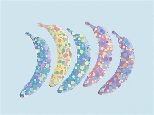 Banana Boogie - Justin Park