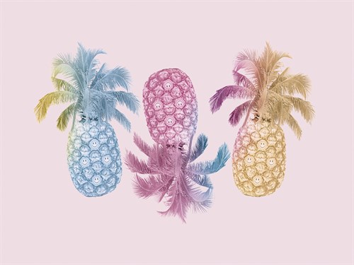 Pineapple Party - Justin Park