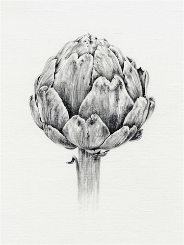Vegetable Patch - Artichoke - Janie Howe