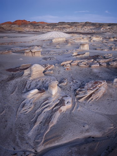 Desert Dreams - Joe Cornish