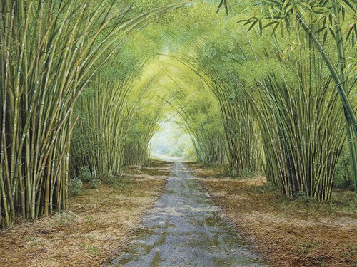 Forest Path - Karen Sylvester