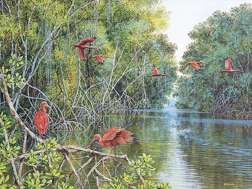 Scarlet Ibis - Karen Sylvester