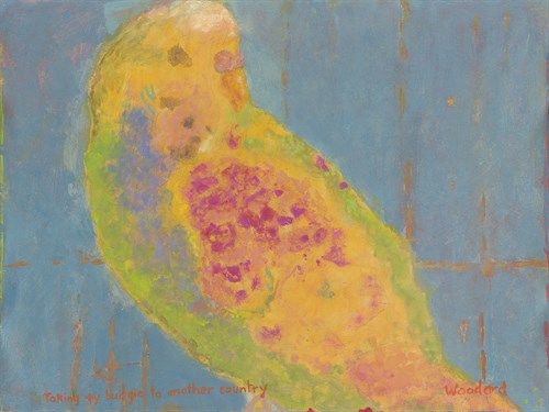 Taking my Budgie to another Country - Roy Woodard