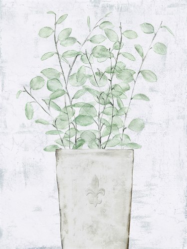Market Flowers - Gather - Belle Poesia