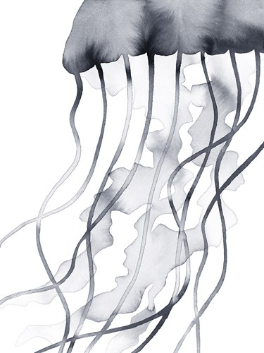 Ocean Ripple - Glide - Kristine Hegre