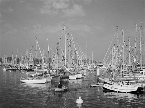 Vast Marina - Ben Wood