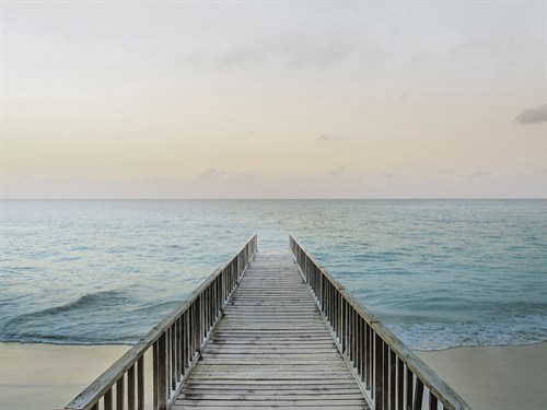 Fading Escape - Alan Copson