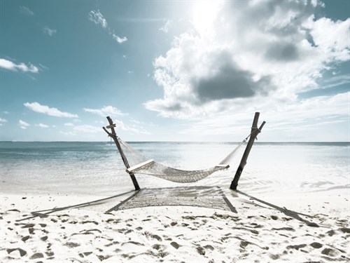 Solo Paradise - Malcolm Sanders