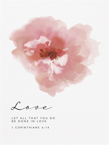 Bloom - Love - Sandra Jacobs