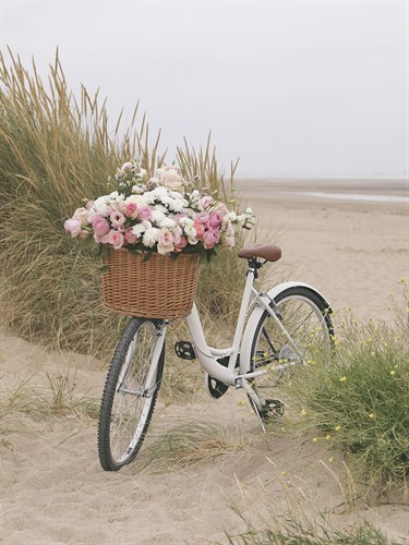 Floral Cycle - Beach - Carina Okula