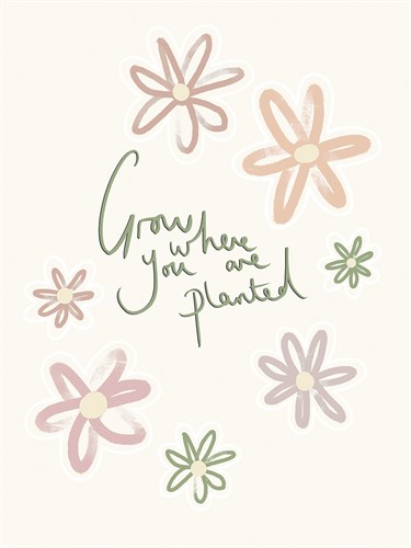 Grow Where You Are Planted - Lisa McCandless