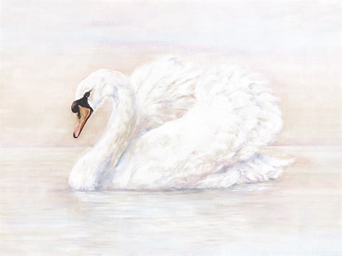Mute Swan - Janie Howe