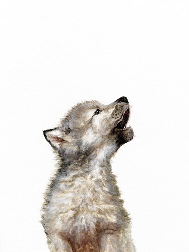 Baby Wolf - Janie Howe