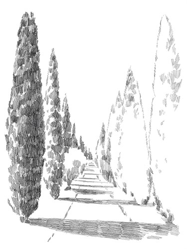 Countryside Sketch - Avenue - Kristine Hegre