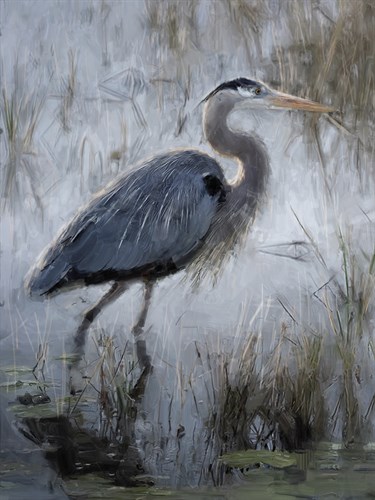 Expressive Heron - Watch - Jack Wild