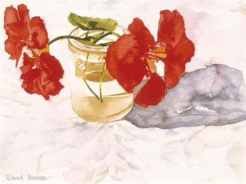 Nasturtiums - Richard Akerman