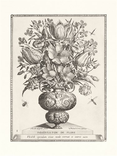 Variatio Florum - Speculum Vitae - Jacobus Kempener