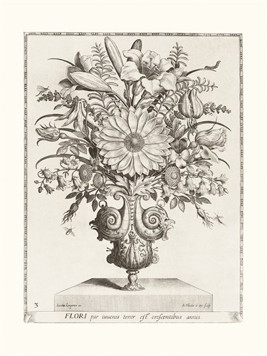 Variatio Florum - Flores Luventutis - Jacobus Kempener