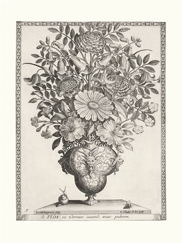 Variatio Florum - Ver Flores - Jacobus Kempener