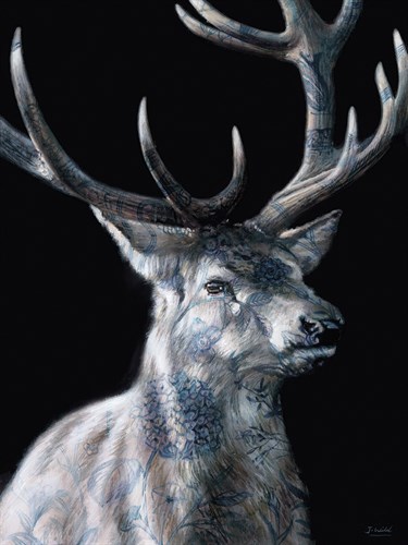 Grand Fantasy - Noble - Jack Wild