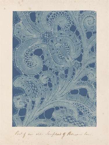 History of Lace - The Vintage Collection