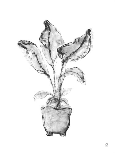 Sketched Houseplant - Shoot - Manny Woodard