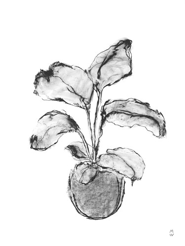 Sketched Houseplant - Rise - Manny Woodard