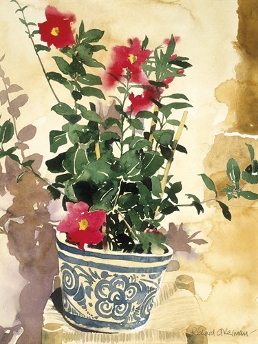 Red Plant in Pot - Richard Akerman
