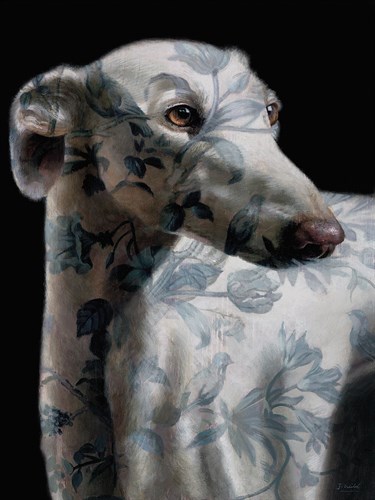 Majestic Fantasy - Hound - Jack Wild