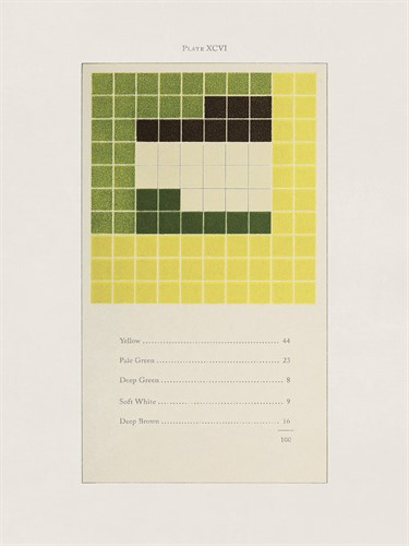 Colour Anatomy - Connect - Emily Noyes Vanderpoel