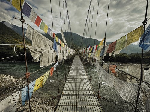 Decorated Pathway - Andrew Geiger
