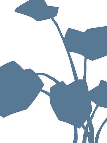 Leaf Likeness - Monstera - Kristine Hegre