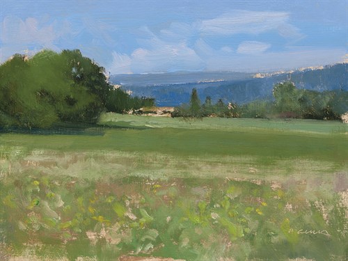 Champs des Combes II - Pascal Giroud