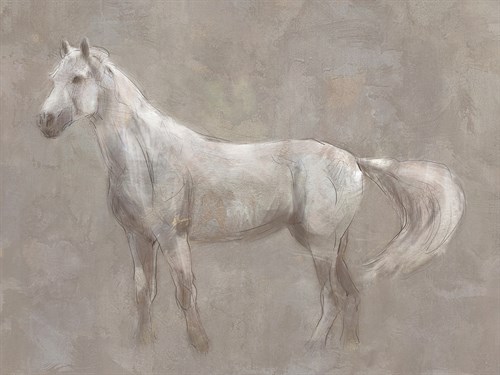 Majestic Horse - Proud - Jack Wild