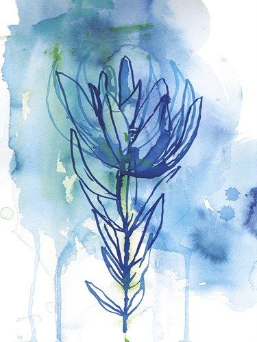 Protea Wash - Blue - Paula Mills