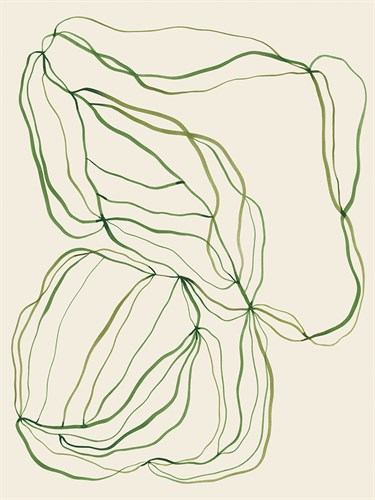 Linear Composition - Curl - Kristine Hegre