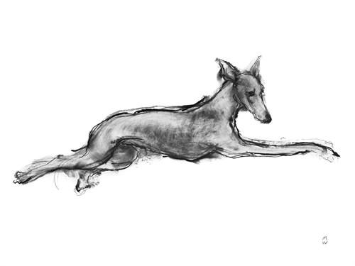 Study in Motion - Stretch - Manny Woodard