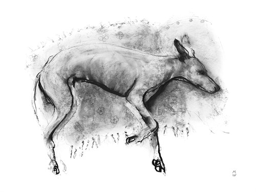Study in Motion - Doze - Manny Woodard