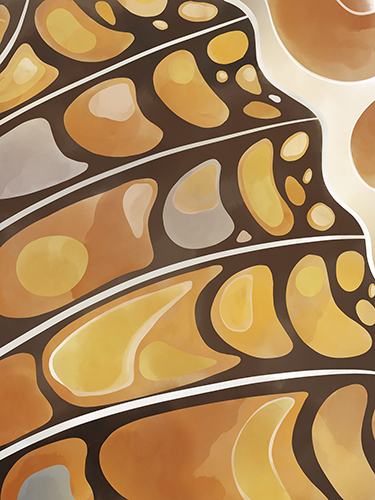 Monarch Montage - Shape - Aria Ellis