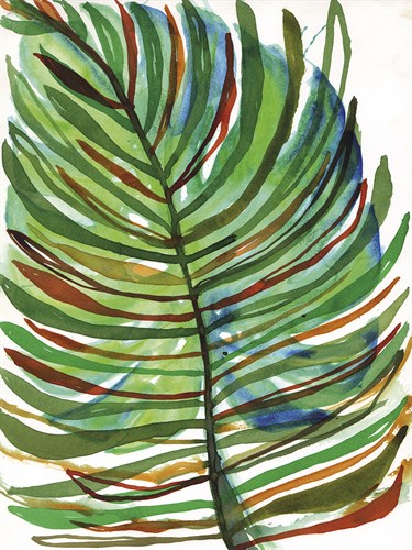 Tropical Medley - Paula Mills