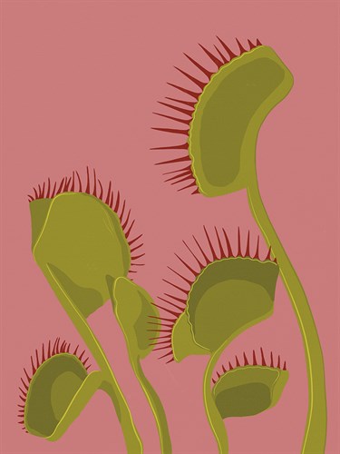 Vivid Tropical - Cactus - Aria Ellis