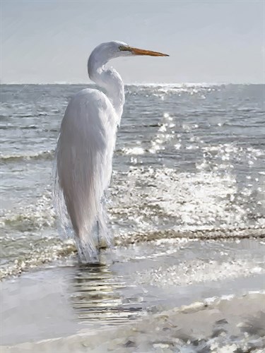 Ocean Stand - Jack Wild