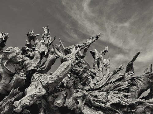 After The Chaos - Bernard Webb
