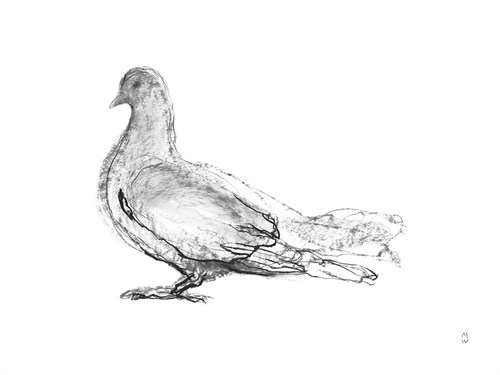 Farmyard Sketch - Flight - Manny Woodard