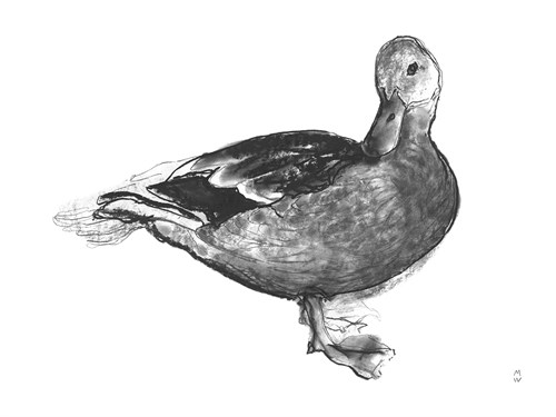 Farmyard Sketch - Duck - Manny Woodard