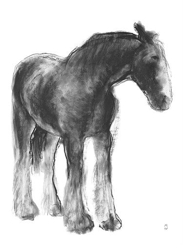 Equine Sketch - Stand - Manny Woodard